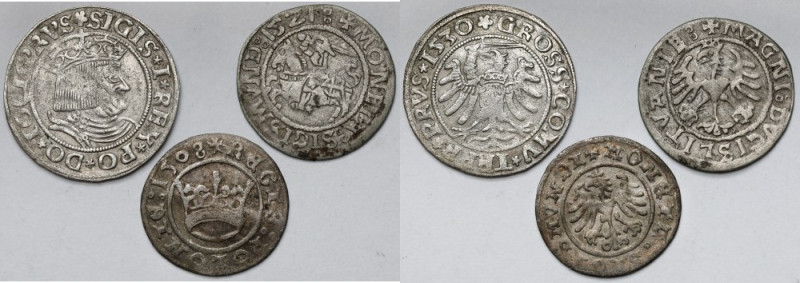 Zygmunt I Stary, Półgrosze i Grosz 1508-1530 - zestaw (3szt) W zestawie m.in. rz...