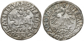 Zygmunt II August, Półgrosz Wilno 1556