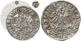 Zygmunt II August, Półgrosz Wilno 1557 - 2x koniczyna - rzadki R3
