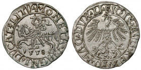 Zygmunt II August, Półgrosz Wilno 1558