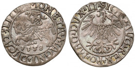 Zygmunt II August, Półgrosz Wilno 1558
