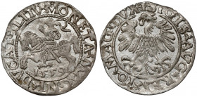 Zygmunt II August, Półgrosz Wilno 1559