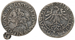 Zygmunt II August, Półgrosz Wilno 1562 - ODWRÓCONY Topór - L R6