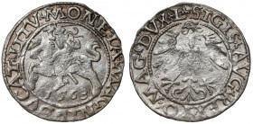 Zygmunt II August, Półgrosz Wilno 1563 - duża Pogoń