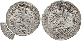 Zygmunt II August, Półgrosz Wilno 1565 - błąd DVCT - RZADKI RR