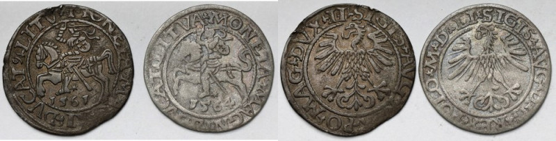 Zygmunt II August, Półgrosze Wilno 1561 i 1564 - zestaw (2szt) Obiegowe. 1561 ze...