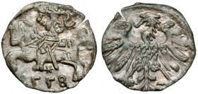 Zygmunt II August, Denar Wilno 1558 R2