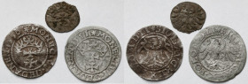 Zygmunt II August, szelągi i denar Gdańsk 1550-55 - rzadkie (3szt) R3/R4