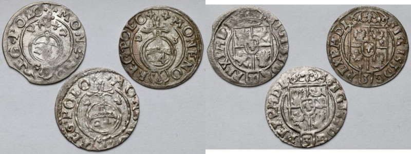 Zygmunt III Waza, Półtoraki Bydgoszcz 1622-1624 - zestaw (3szt)