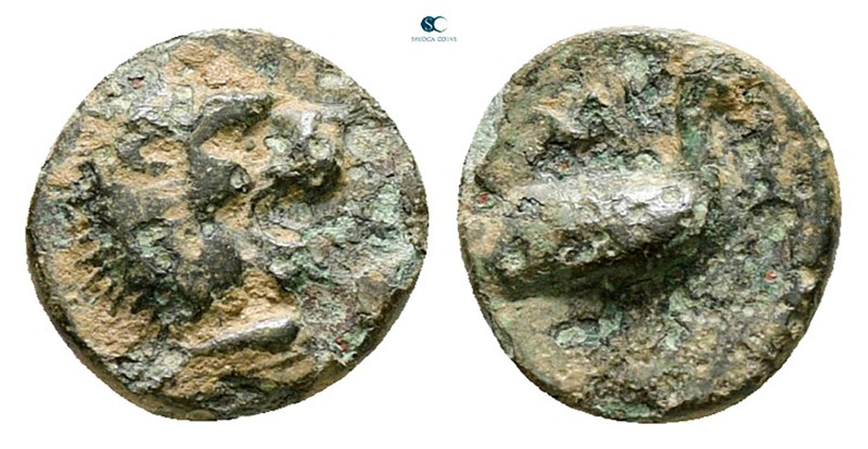 Ionia. Miletos circa 400-375 BC. 
Bronze Æ

8 mm, 0,61 g



Fine