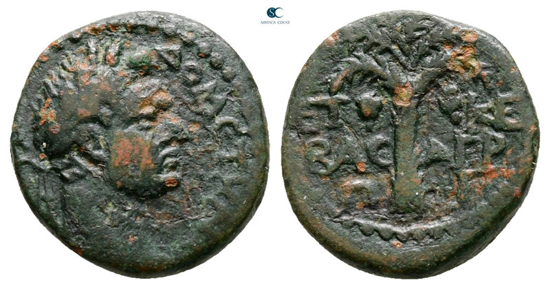 Judaea. Tiberias. Herodians. Agrippa II with Domitian AD 50-100. 
Bronze Æ

1...