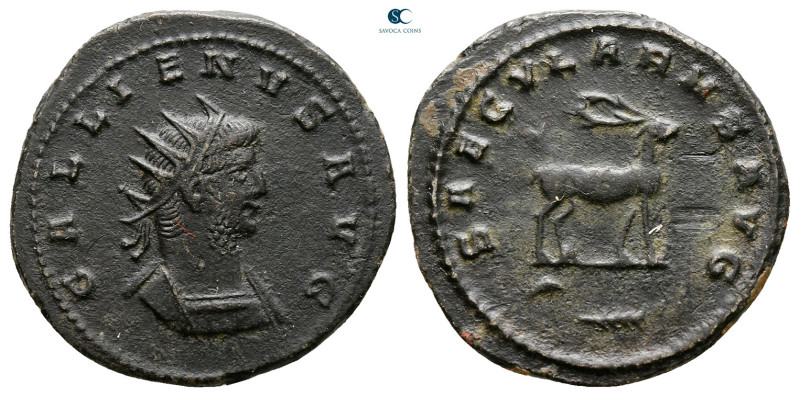 Gallienus AD 253-268. Antioch
Antoninianus Æ

22 mm, 3,65 g



Very Fine