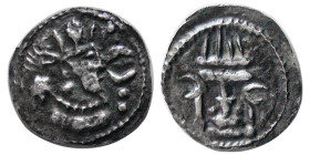SASANIAN KINGS, Shapur II. 302-379 AD. AR Hemiobol. RRR.