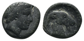 Aeolis. Aigai. (4.-3. Century BC). Bronze Æ. Obv: haed of Apollo right. Rev: Goat head right. Weight 1.29 gr - Diameter 10 mm