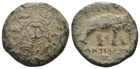 Antiochos I. Soter. (280-261 BC). Bronze Æ. Antioch. Weight 4.79 gr - Diameter 19 mm