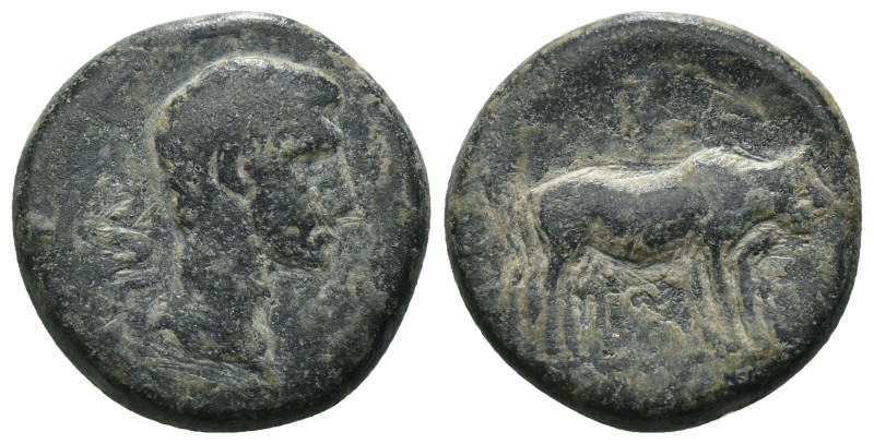 Tiberius. (14-37 AD). Assarion. Achaea. Patrae. Obv: draped bust of Tiberius rig...