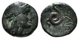 MYSIA. Pergamon. Attalos II Philadelphos (160-139 BC). Ae .
Obv: Head of Athena in Attic helmet right.
Rev: ΦIΛETAIΡOΥ.
Serpent coiled right; monogram...