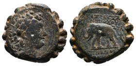 SELEUKID KINGDOM. Antiochos VI Dionysos (144-142 BC). Serrate Ae. Antioch on the Orontes.
Obv: Radiate and diademed head right.
Rev: ΒΑΣΙΛΕΩΣ ΑΝΤΙΟΧΟΥ...