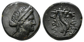 PHRYGIA. Laodikeia. Ae (Circa 158-138 BC).
Obv: Head of Aphrodite right, wearing stephane.
Rev: ΛAOΔI / KEΩN.
Double cornucopia. 7,52 g - 17,71 mm