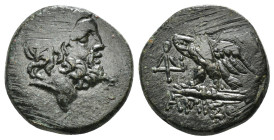 PONTOS. Amisos. Time of Mithradates VI Eupator (Circa 100-85 BC). Ae.
Obv: Laureate head of Zeus right.
Rev: AMIΣOY.
Eagle, head right, with wings spr...