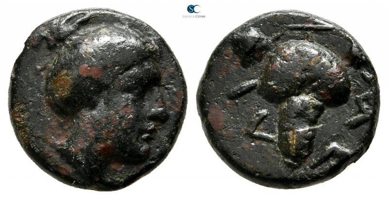 Thessaly. Meliboia 350-300 BC. 
Chalkous Æ

12mm., 2,00g.

Head of nymph ri...