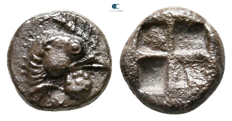 Troas. Dardanos circa 500 BC. 
Obol AR

7mm., 0,71g.

Head of cock right / ...