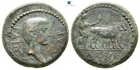 Lydia. Tralleis (as Caesarea). Gaius Caesar 20 BC-AD 4. Bronze Æ
