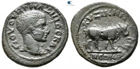 Mysia. Kyzikos. Maximus, Caesar AD 236-238. Bronze Æ