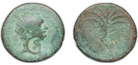 Rome Roman Empire AE Domitian Countermark: head. Bronze Caesarea Marítima (Judaea) 13.3g VF