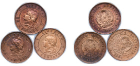 Argentina Federal Republic 1884-1890 1 Centavo (3 Lots) Bronze XF KM 32 CJ 38 to 51