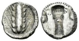 Lucania, Metapontum Obol circa 470-440