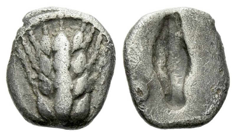 Lucania, Metapontum Diobol circa 470-440, AR 9.00 mm., 0.77 g.
Ear of barley wi...