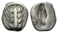 Lucania, Metapontum Diobol circa 470-440