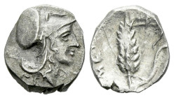 Lucania, Metapontum Diobol circa 325-275