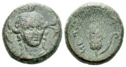Lucania, Metapontum Bronze circa III century