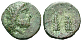 Lucania, Metapontum Bronze circa III century