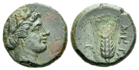 Lucania, Metapontum Bronze circa 250-200