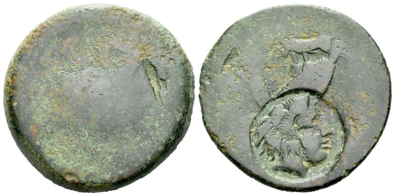 Sicily, Agrigentum Tetras Late V century, Æ 31.00 mm., 16.32 g.
[Eagle tearing ...