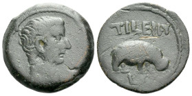 Egypt, Alexandria Tiberius, 14-37 Obol circa 19-20 (year 6)