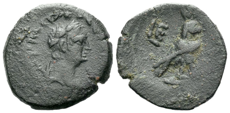 Egypt, Alexandria Vespasian, 69-79 Obol Obol 72-73 (year 5), Æ 19.60 mm., 4.46 g...