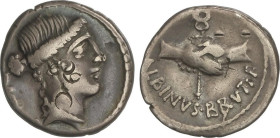 ROMAN COINS: ROMAN REPUBLIC
Denario. 48 a.C. POSTUMIA. Postumius Albinus Bruti F. Anv.: Cabeza de piedad a derecha. Rev.: Dos manos juntas sosteniend...