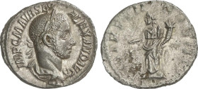 ROMAN COINS: ROMAN EMPIRE
Denario. 231-235 d.C. ALEJANDRO SEVERO. Anv.: IMP. ALEXANDER PIVS AVG. Busto laureado a derecha. Rev.: PROVIDENTIA AVG. Pro...