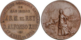 PESETA SYSTEM: ALFONSO XIII
Medalla. 17 Abril 1904. INSTITUTO AGRÍCOLA CATALÁN DE SAN ISIDRO. 13,53 grs. AE. Ø 30mm. (Golpecitos en canto). CruMC-983...