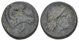 TROAS. Kebren. Ae (Circa 400-387 BC).
Obv: Head of ram right; below, sea eagle standing right.
Rev: K - E.
Laureate head of Apollo right.
SNG von Aulo...