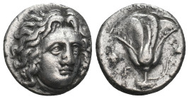 CARIA. Rhodes. Didrachm (Circa 305-275 BC).
Obv: Head of Helios facing slightly right.
Rev: ΡΟΔΙOΝ.
Rose with bud to right. Controls: To left, grape b...