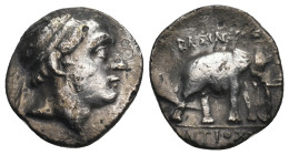 SELEUKID KINGDOM. Antiochos III 'the Great' (222-187 BC). Drachm. Apameia on the Orontes(?).
Obv: Diademed head right.
Rev: ΒΑΣΙΛΕΩΣ / ΑΝΤΙΟΧΟΥ.
Eleph...