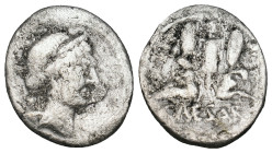 JULIUS CAESAR. Late 46-early 45 BC. AR Denarius. Military mint traveling with Caesar in Spain. 
Obv: Diademed head of Venus right, with Cupid over her...