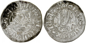 Pomorze, Bogusław X 1478-1523, Szeląg 1489, Gardziec.