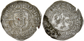 Pomorze, Bogusław X 1478-1523, Wit 1505, Szczecin.