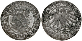 Zygmunt I Stary 1506-1548, Grosz 1532, Toruń.